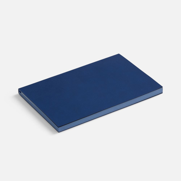 Ежедневник Flat ver.2, недатированный, синий, 14,7х20,6х1 см