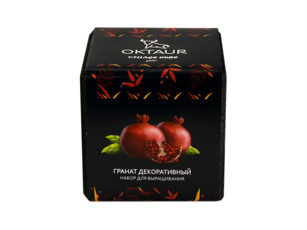 Набор для выращивания «Small village cube «Гранат комнатный», Цвет черный