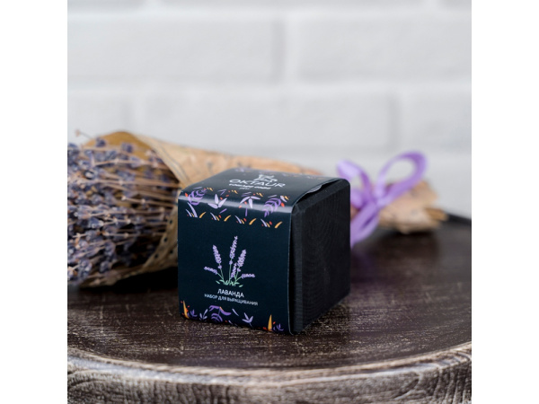 Набор для выращивания «Small village cube «Лаванда», Цвет черный