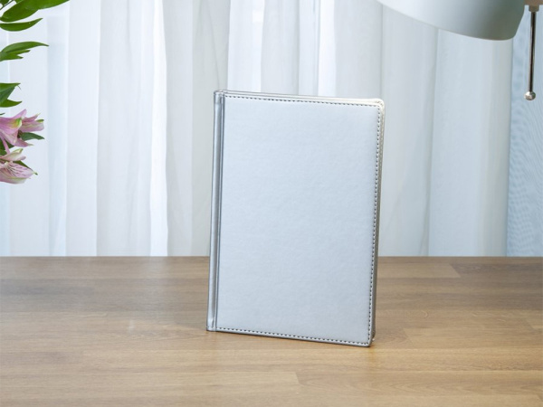 Ежедневник недатированный А5 «Velvet», Размер A5, Цвет серебристый
