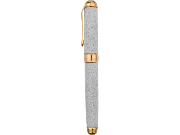 Ручка перьевая, Цвет серебристый/золотистый