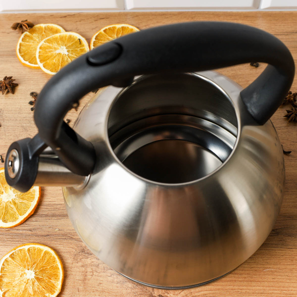 Чайник 3,0 л / JX-096 /уп 12/ цвет серебро /0,66/ индукция