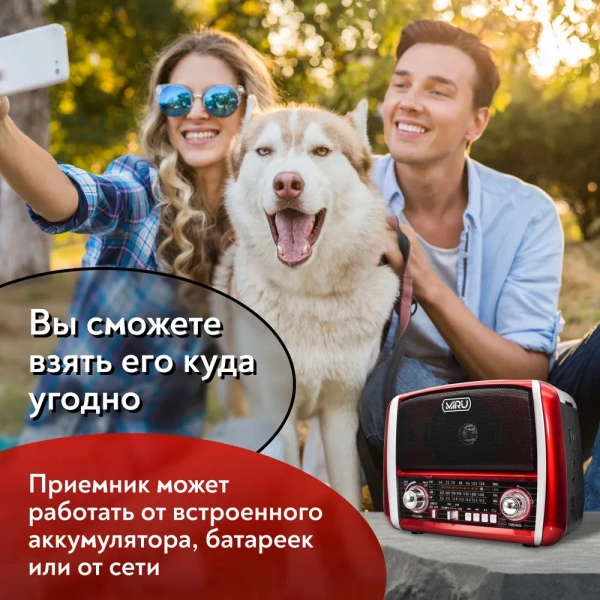Радиоприемник SR-1025, аналоговый тюнер FM/AM, аккумулятор 750 мАч, USB, TF, microSD, AUX / Встроенный фонарь