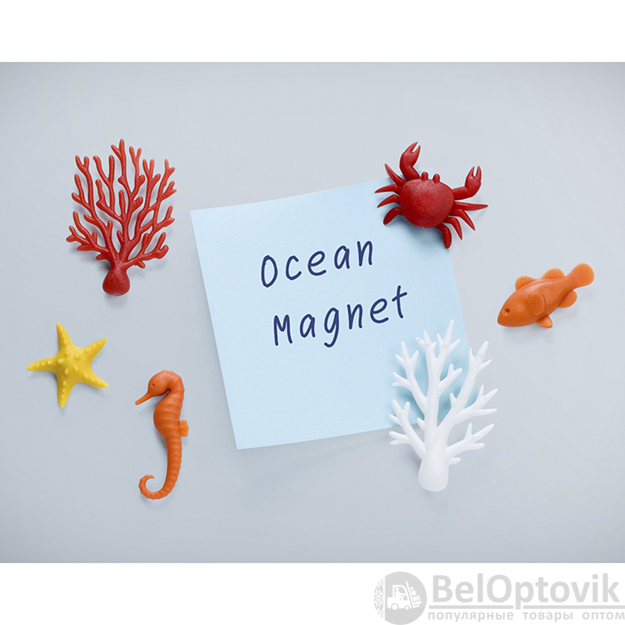 Магниты Ocean Ecology