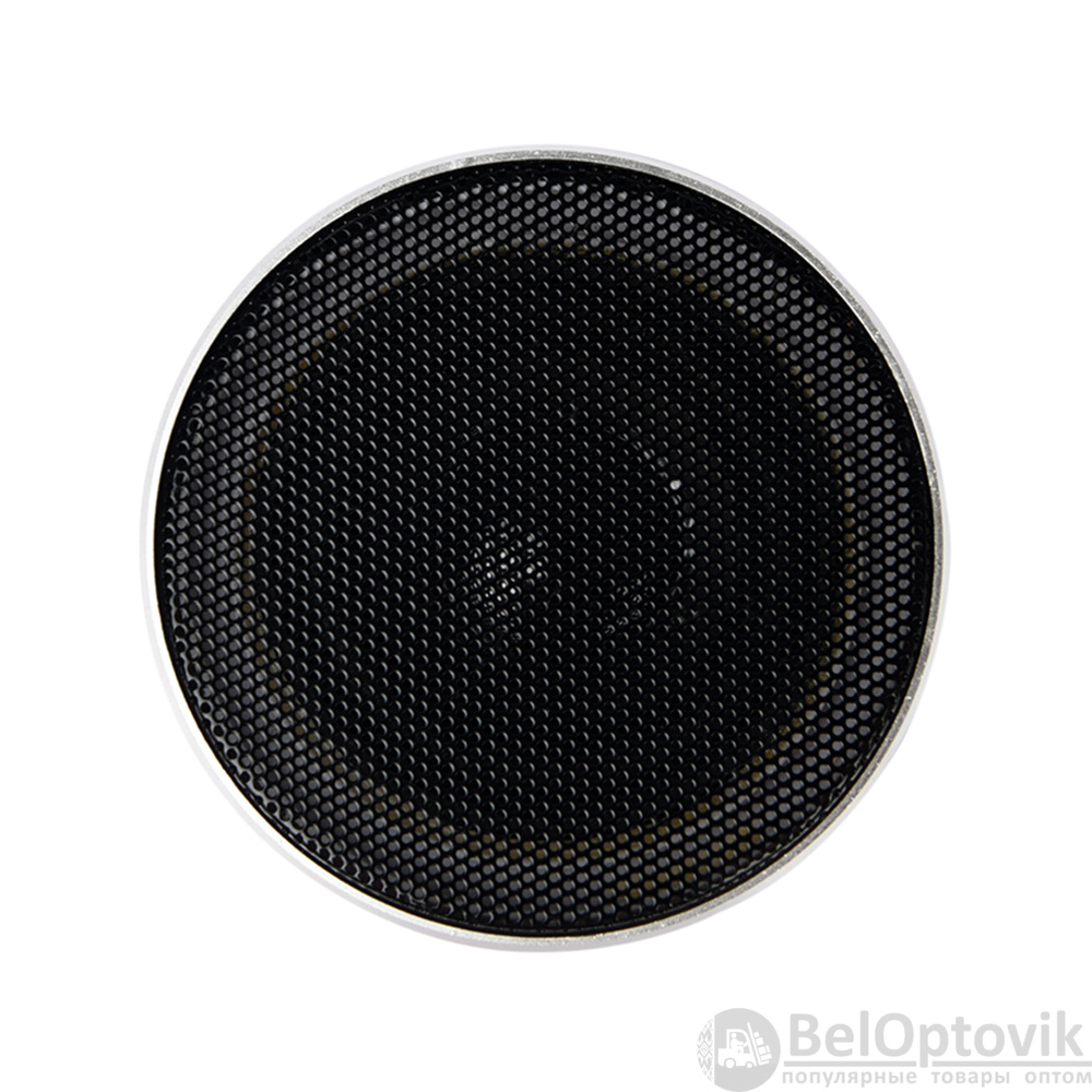 Беспроводная Bluetooth колонка MuzOn, серебристая