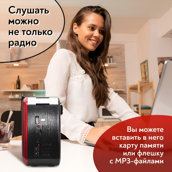 Радиоприемник SR-1025, аналоговый тюнер FM/AM, аккумулятор 750 мАч, USB, TF, microSD, AUX / Встроенный фонарь