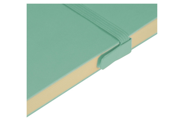 Ежедневник недатированный А5 «Tokyo», Цвет мятный