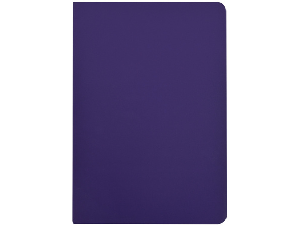 Бизнес-тетрадь А5 «Pragmatic Contrast», Цвет фиолетовый/салатовый