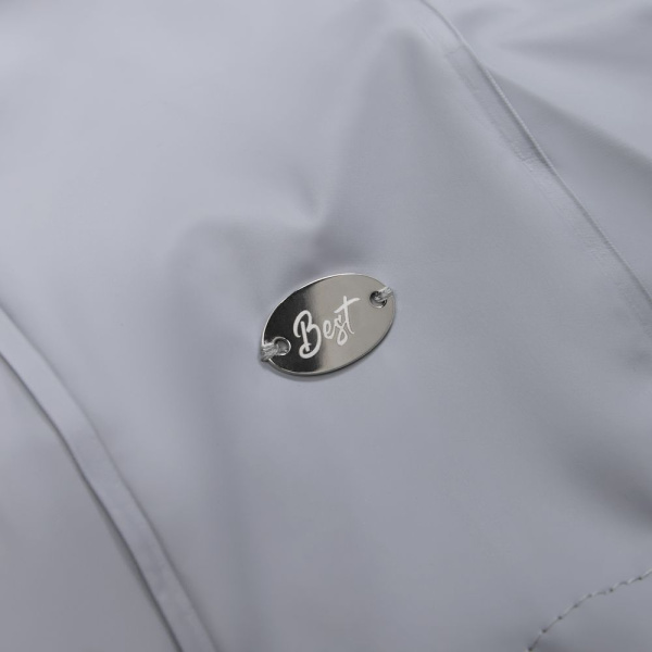 Шильдик металлический Alfa Oval, серебристый, 1,5х2,5 см