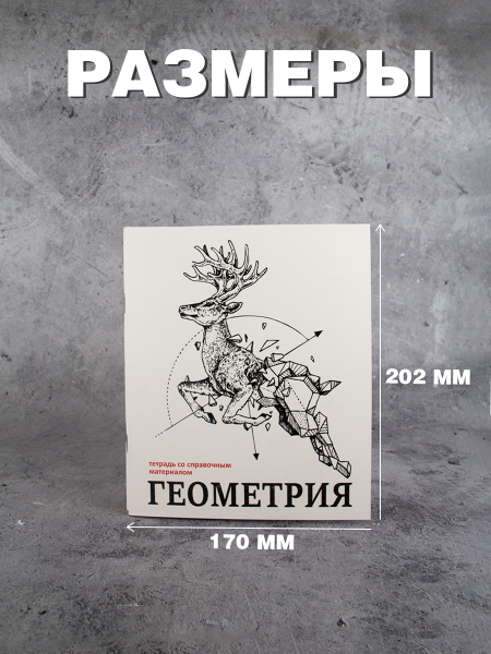 Комплект предметных тетрадей 12 шт. со справочными материалами, 48 листов (алгебра, геометрия, биология, физика, география, англ.язык, русск.язык, литература, химия, история, обществознание, информатика)