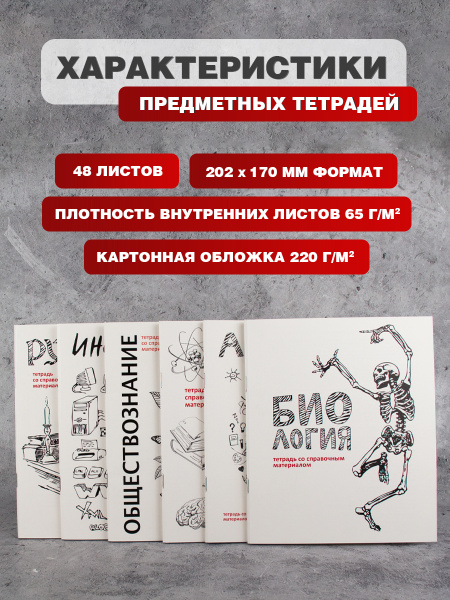 Комплект предметных тетрадей 12 шт. со справочными материалами, 48 листов (алгебра, геометрия, биология, физика, география, англ.язык, русск.язык, литература, химия, история, обществознание, информатика)