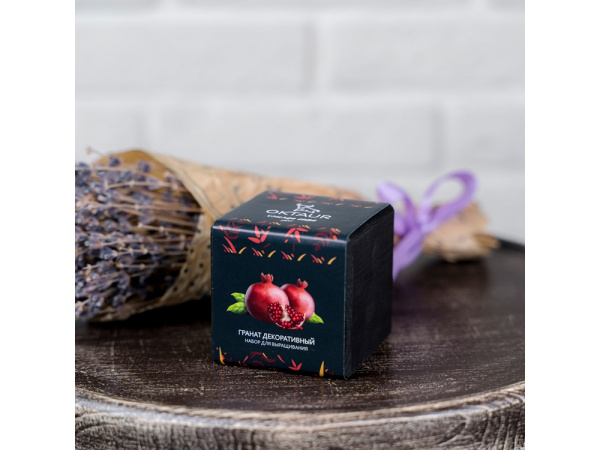 Набор для выращивания «Small village cube «Гранат комнатный», Цвет черный