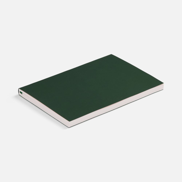 Ежедневник Flat Light ver.2, недатированный, зеленый, 14,7х20,6х1 см