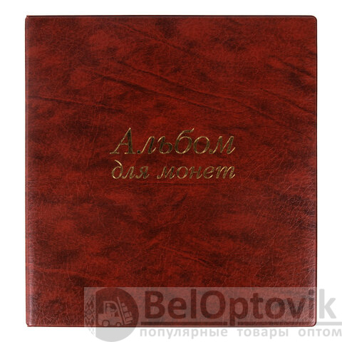 Альбом нумизмата для 380 монет (диаметр до 38 мм) и купюр, 253х238 мм, коричневый, ОСТРОВ СОКРОВИЩ, 237961