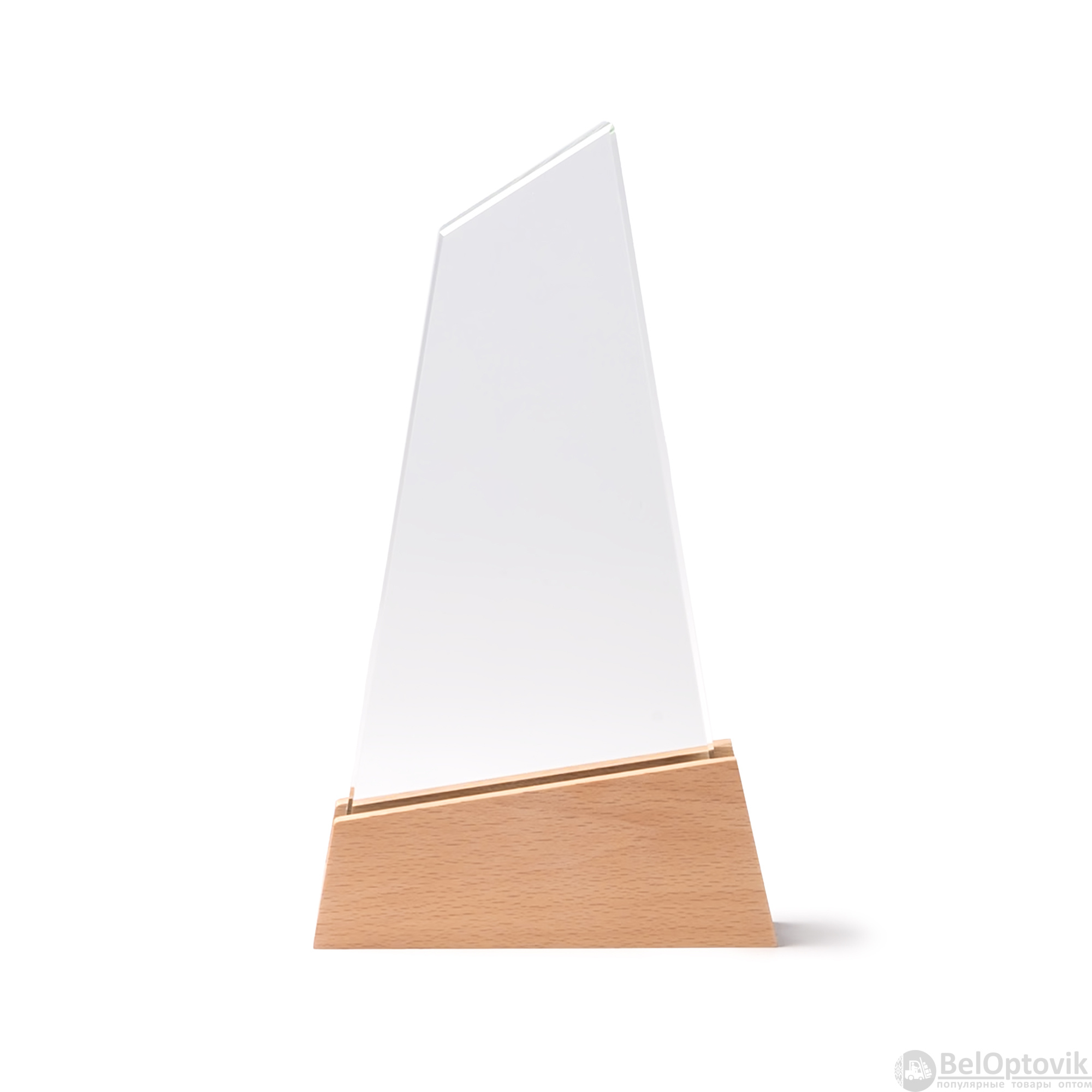 Стеклянная награда NAVIS