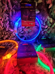 Светящийся ошейник для собак (3 режима, зарядка USB)  Синий (Blue), размер М