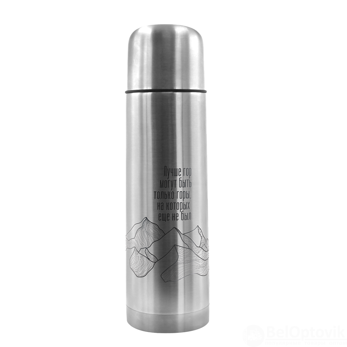 Термос Picnic Silver, серебристый