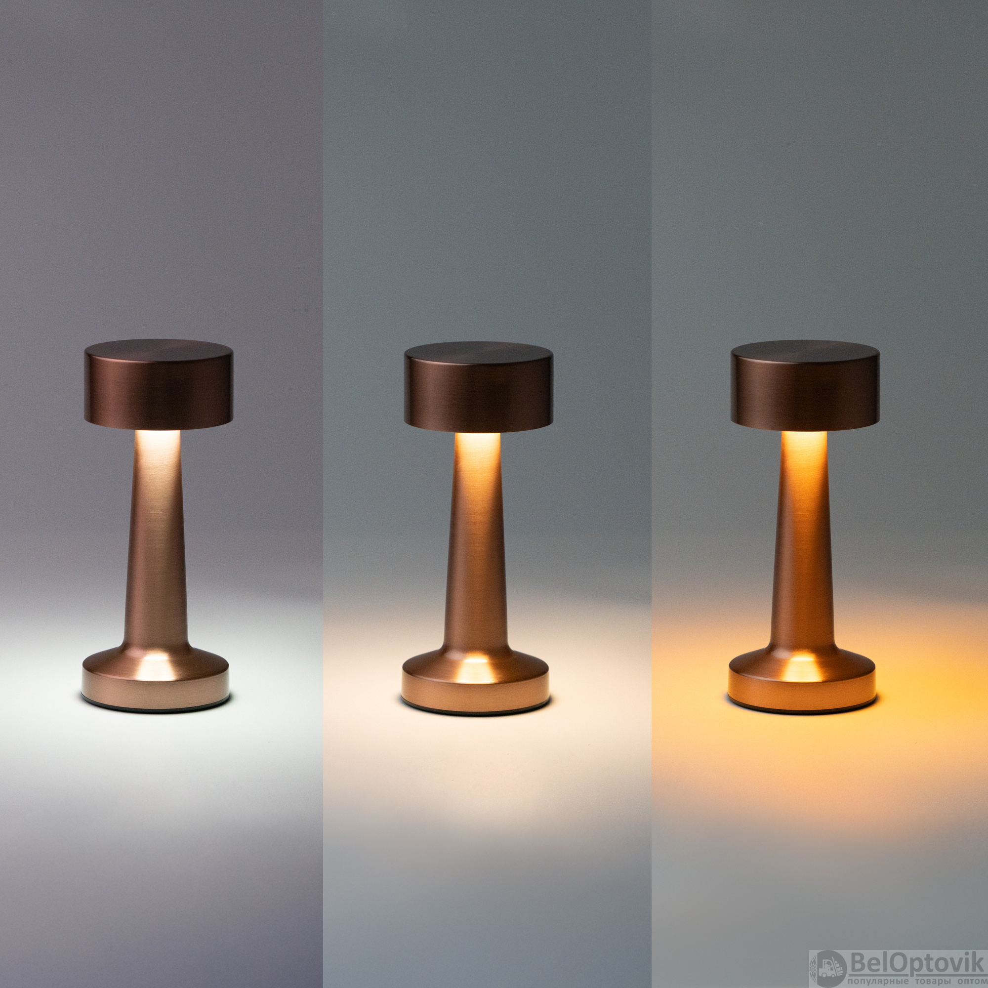 Настольная лампа REIKI cо встроенной батареей HF-8, розовое золото