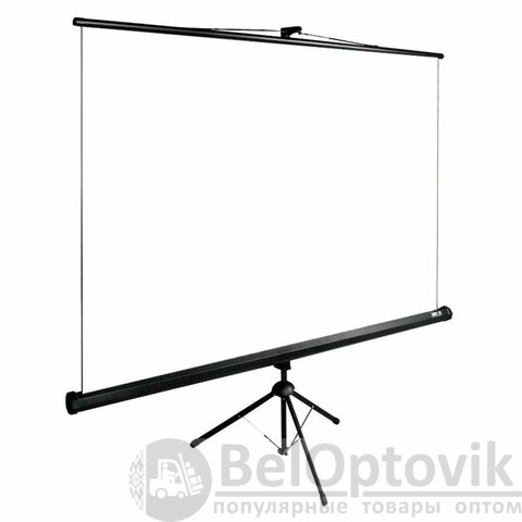 Экран Cactus TriExpert CS-PSTE-200x200-BK, 200x200 см, 1:1, напольный, черный