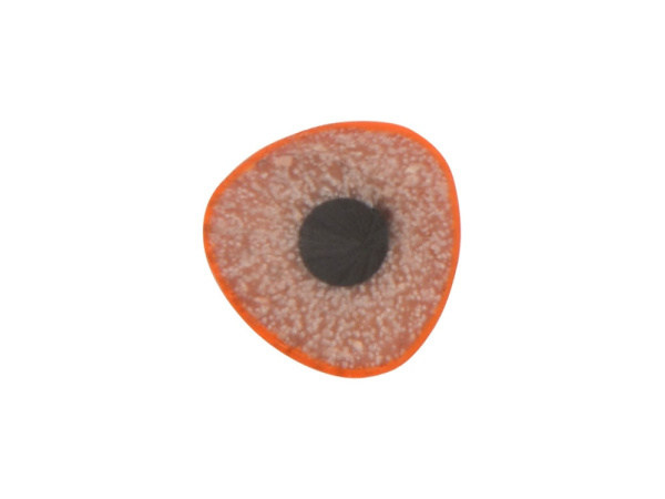 Трехгранный карандаш «Conti» из переработанных контейнеров, Цвет оранжевый