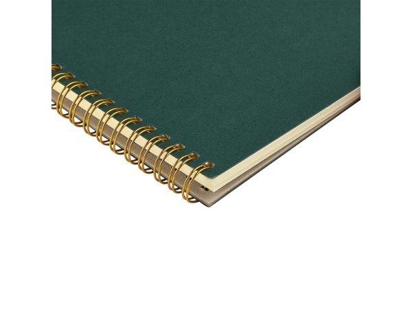 Бизнес тетрадь А5 «Pragmatic», Цвет зеленый