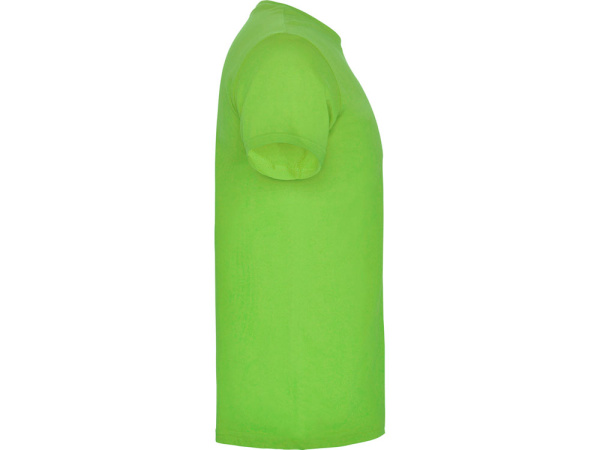 Футболка «Beagle» детская, Размер 11-12, Цвет зеленое яблоко