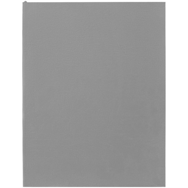 Ежедневник Flat Maxi, недатированный, серый, 20x26x1 см