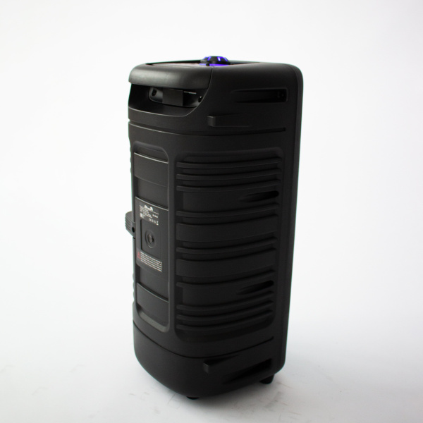 Напольная колонка Eltronic DANCE BOX 300 Watts  арт. 20-19 с проводным микрофоном и RGB цветомузыкой