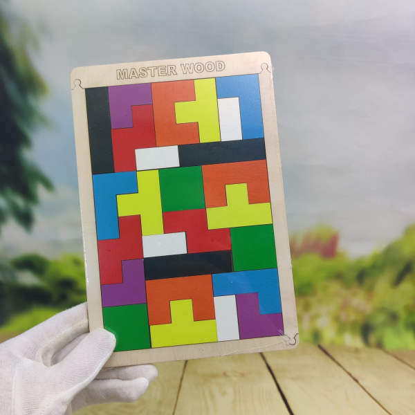 Головоломка Мастер Вуд "Логический пазл Монтессори", тетрис