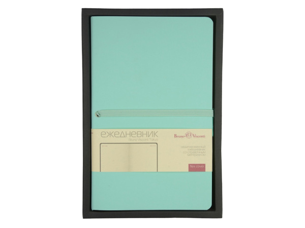 Ежедневник недатированный А5 «Tokyo», Цвет мятный