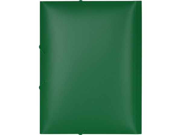 Папка А4 на резинке, Цвет зеленый