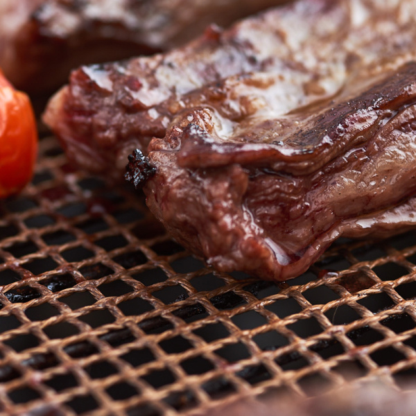 Сетка-решетка для гриля и духовки "You`ll love", 30*30 см