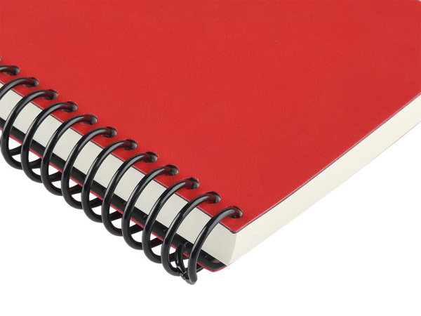 Ежедневник недатированный А5 «Agenda», Цвет красный