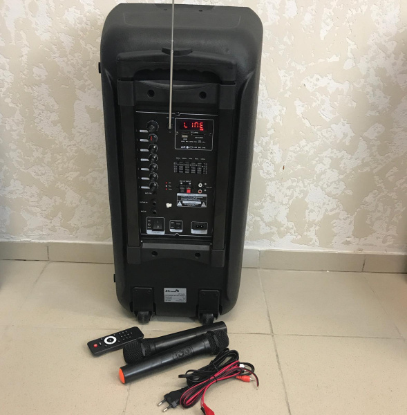 Профессиональная акустическая система ELtronic Dance box 300 (Два динамика по 10 дюймов, FM-радио, караоке, bluetooth, usb/sd/tf 800ВАТТ)