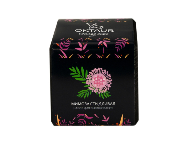 Набор для выращивания «Small village cube «Мимоза стыдливая», Цвет черный