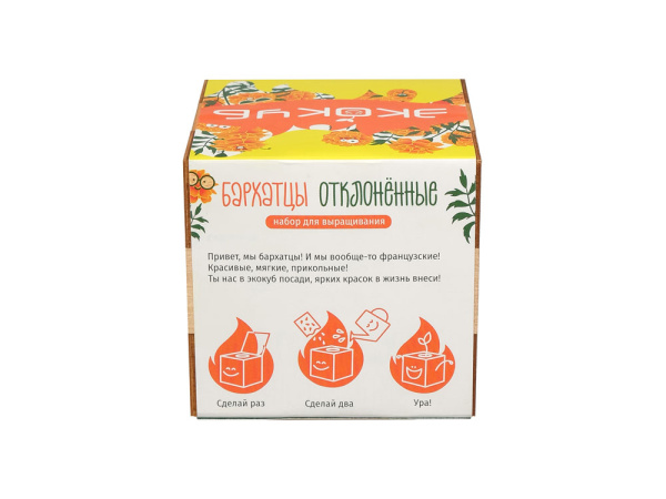 Набор для выращивания «Бархатцы», Цвет желтый