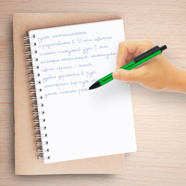 Ручка металлическая Buller / Шариковая авторучка