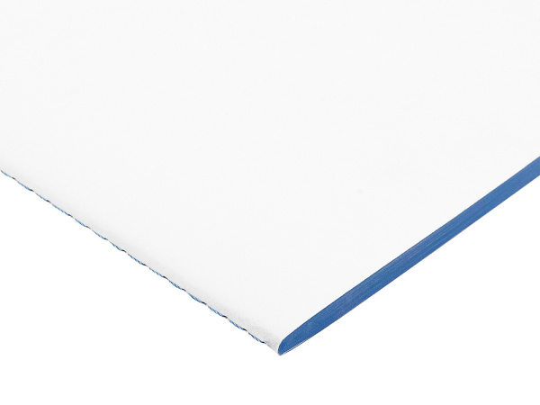 Бизнес-тетрадь А5 «Pragmatic Contrast», Цвет белый/голубой