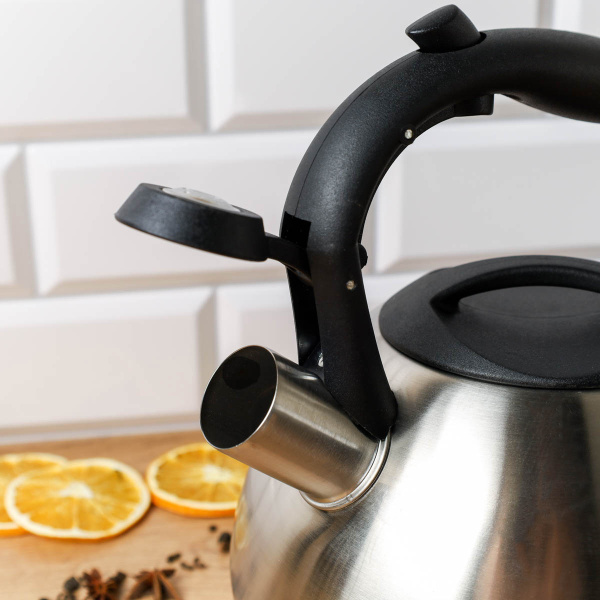 Чайник 3,0 л / JX-096 /уп 12/ цвет серебро /0,66/ индукция