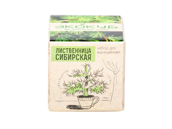 Набор для выращивания «Лиственница Сибирская», Цвет бежевый