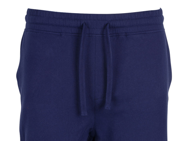 Брюки «Motion» с начесом мужские, Размер XL, Цвет темно-синий