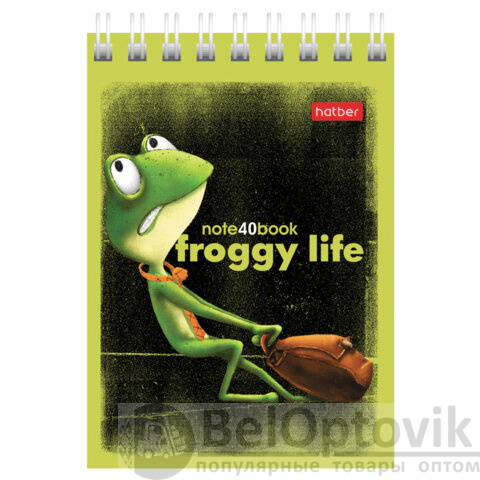 Блокнот МАЛЫЙ ФОРМАТ А7, 40 л., гребень, картон, клетка, HATBER, "Лягух Кир", 081184, 40Б7В1гр