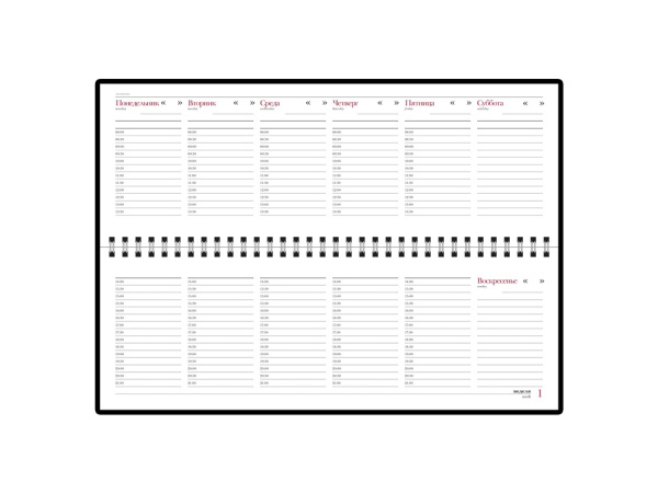 Планинг недатированный «Sidney Nebraska», Цвет синий