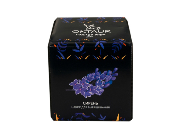 Набор для выращивания «Small village cube «Сирень», Цвет черный