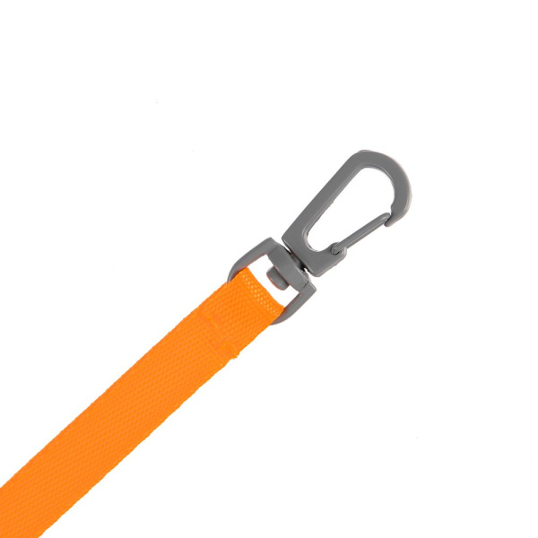 Застежка-карабин Snap Hook, S, серая, 1х3,5 см