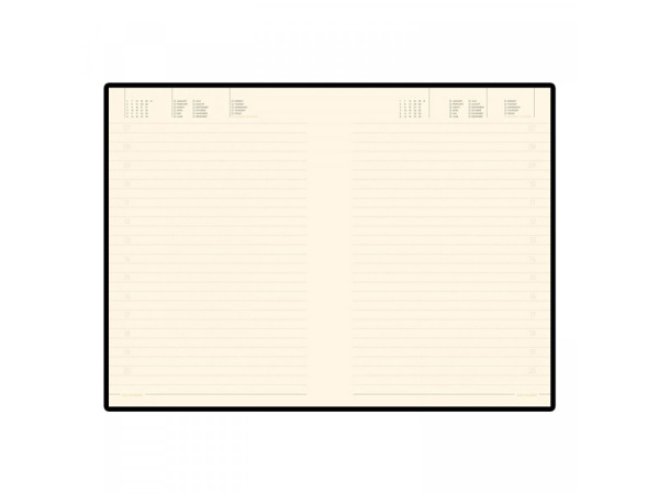 Ежедневник недатированный B5 «Tintoretto New», Размер В5, Цвет черный