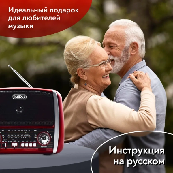 Радиоприемник SR-1025, аналоговый тюнер FM/AM, аккумулятор 750 мАч, USB, TF, microSD, AUX / Встроенный фонарь