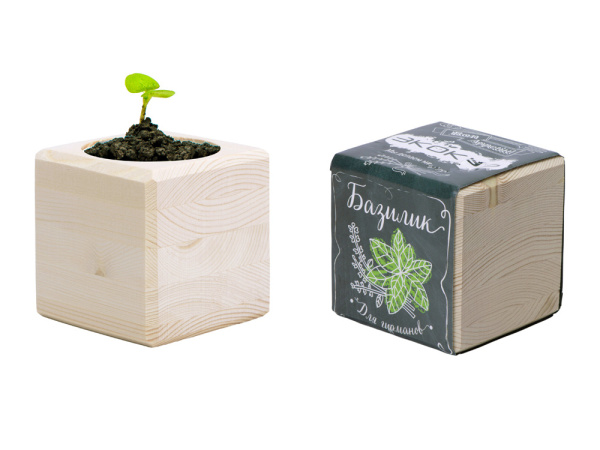 Набор для выращивания «Базилик», Цвет бежевый