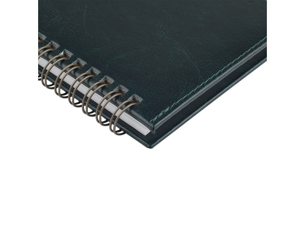 Планинг датированный «Sidney Nebraska» на 2026 год, Цвет зеленый