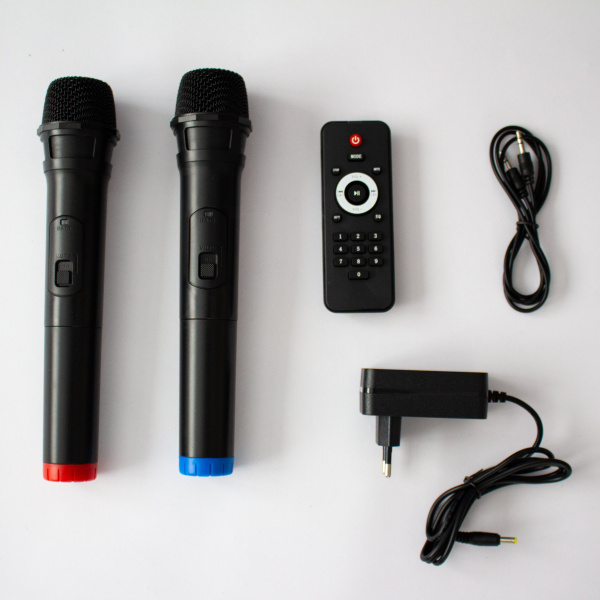 Напольная колонка Eltronic FIRE BOX 500 W PMPO арт. 20-58 с двумя  микрофонами и встроенной батареей